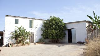 Masia  15. Finca con olivar en sa pobla de 114.000 m2, posible construir 2