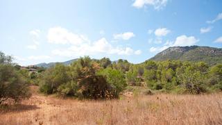 Terreny residencial a Selva. Terreno de 41.000 m2 con posibilidad de vivienda de 300 m2 en se