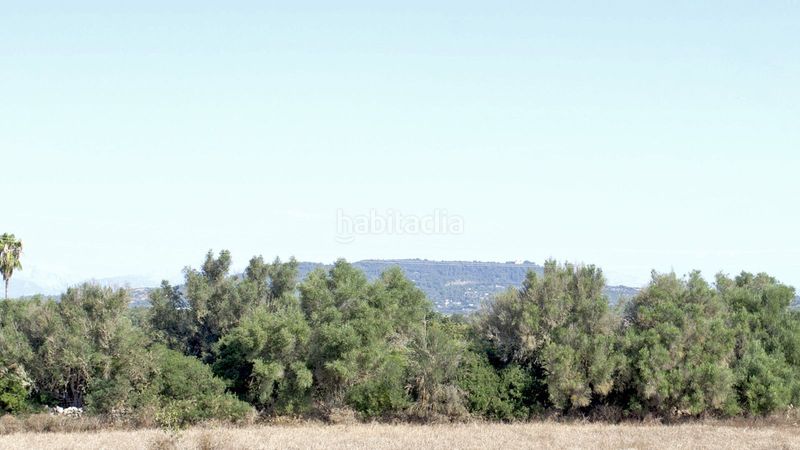 Foto 0eeb4f61-9c86-4a06-8794-08c8b6c6b565. Masia amb aparcament a Manacor centre Manacor