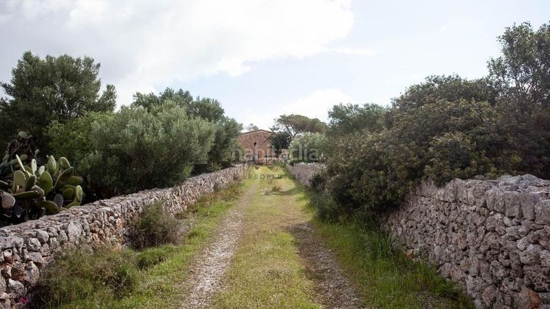 Foto dae73804-f06d-45ea-b65f-4eead52864f9. Masia amb aparcament a Cala Magrana-Cala Anguila-Cala Mendia Manacor