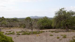 Bauernhof in Artà Poble. Extensa finca de 160.000 m2 en artà con vistas al mar