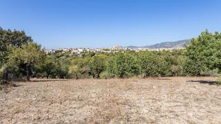 Terreny residencial a Campanet. Finca en campanet de 18.000 m2 con licencia de obra