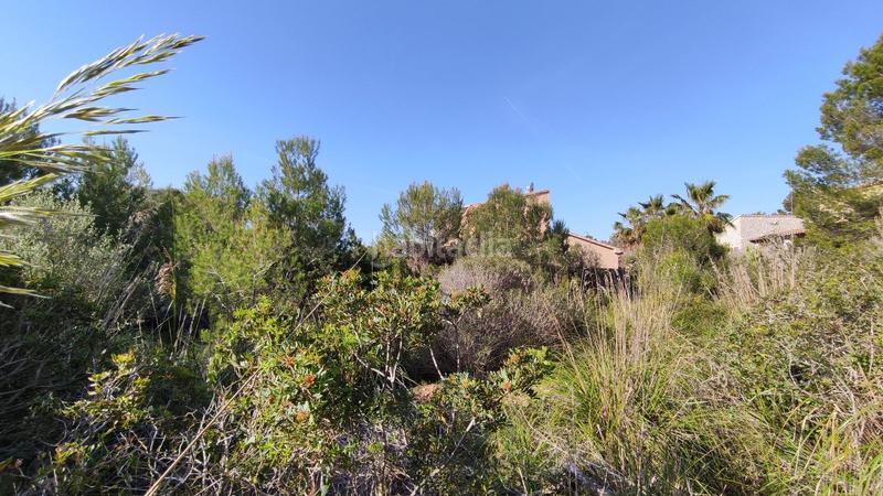 Foto 35b13c14-23db-4754-9b40-5a0d56dac06f. Terreny residencial a Cala Mesquida Capdepera