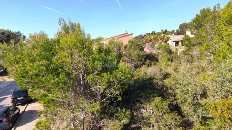 Foto 55771e8c-30b2-4977-aa6a-e042d4f9bbc7. Terreny residencial a Cala Mesquida Capdepera