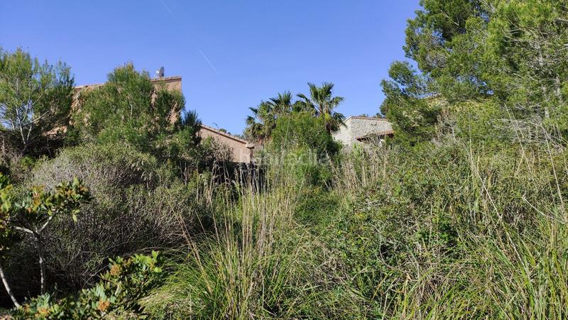 Foto 6005e20f-fed1-4811-b68b-2772155abe0e. Terreny residencial a Cala Mesquida Capdepera