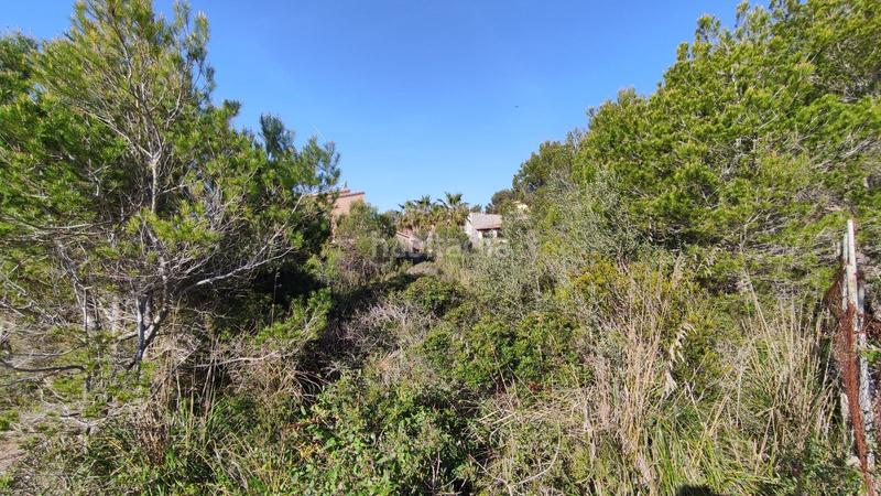 Foto e4bd7c8d-480e-4eea-9e81-efa075636e6e. Terreny residencial a Cala Mesquida Capdepera