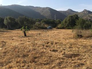 Residential Plot in Capdepera Poble. Terreno de 17.000 m2 en capdepera con pozo y electricidad