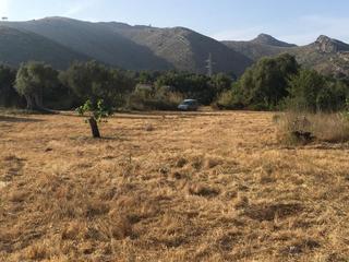 Terreny residencial a Capdepera Poble. Terreno de 17.000 m2 en capdepera con pozo y electricidad