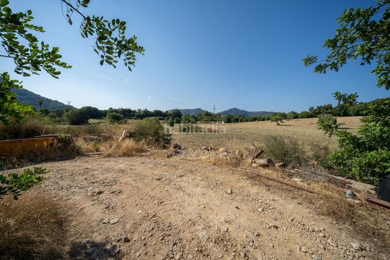 Foto 10e98c22-d172-4db9-8ec8-a68e303b10e1. Terrain résidentiel dans Pollença poble Pollença