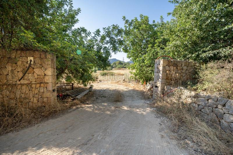 Foto 11c3d5ae-7553-4da2-aa3b-df14d5055acd. Terrain résidentiel dans Pollença poble Pollença