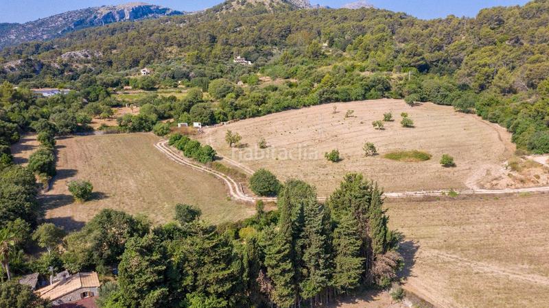 Foto 3978bac0-2ee9-43d4-a58f-b1fd7c0667fc. Terrain résidentiel dans Pollença poble Pollença