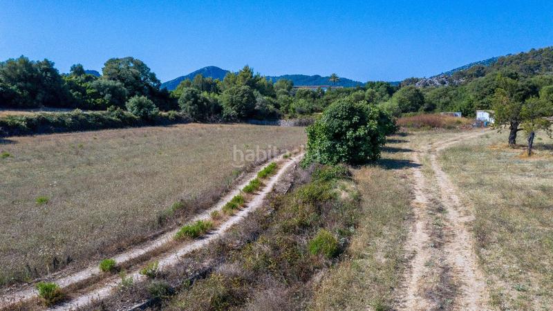 Foto 398e196a-5ab6-47ae-8028-ac8e7384f7f2. Terrain résidentiel dans Pollença poble Pollença
