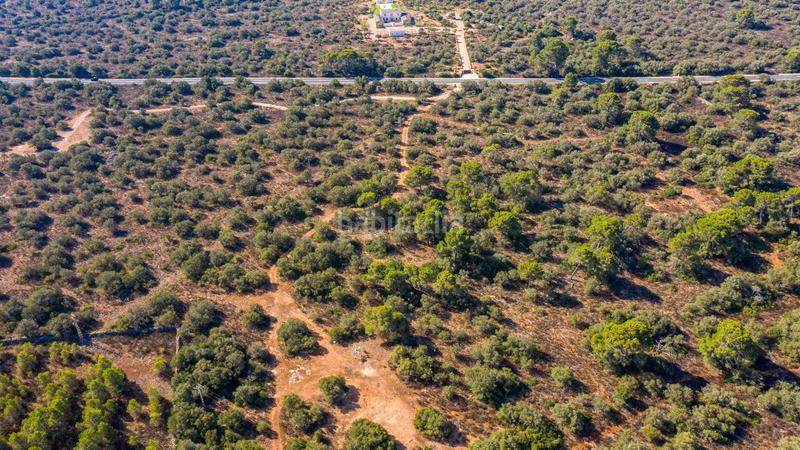 Foto 0ad9b2cb-b2f3-482d-95d8-e9ccbbf43c74. Terreny residencial a Cala Pi-Vallgornera Llucmajor