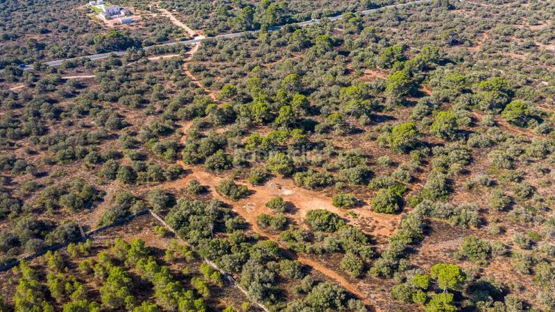 Foto 50dfff76-170b-49d7-9ec9-e888c05c7706. Terreny residencial a Cala Pi-Vallgornera Llucmajor