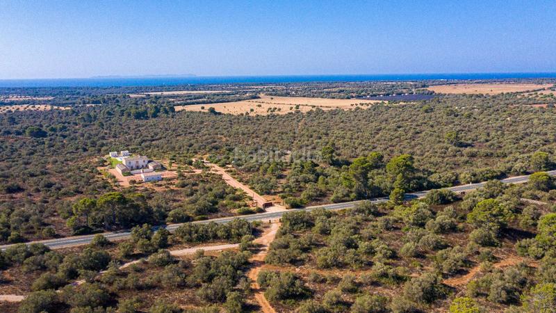 Foto 5f30969c-2345-4ff7-adc3-1cabff6a0c91. Terreny residencial a Cala Pi-Vallgornera Llucmajor