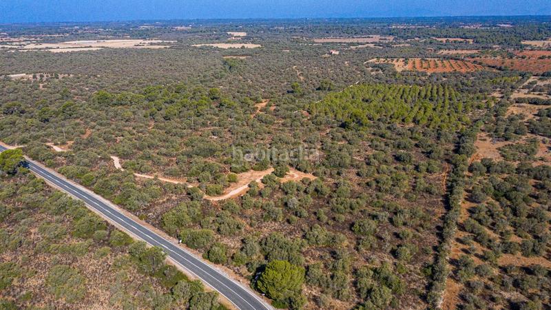 Foto dc0256f3-a4cf-4794-8977-b8a2e6757d6b. Terreny residencial a Cala Pi-Vallgornera Llucmajor