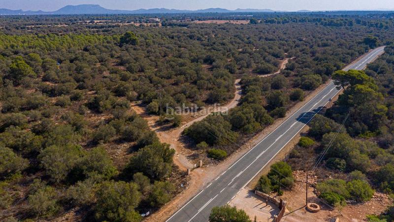 Foto e5e9710d-b712-4340-94f1-d10693ce21c5. Terreny residencial a Cala Pi-Vallgornera Llucmajor