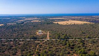 Terreny residencial  50. Terreno de 230.000 m2 en llucmajor con proyecto y vistas al mar