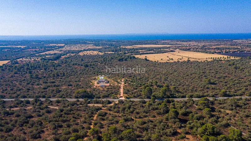 Foto ffe490a2-e397-4599-aa11-3996d9833458. Terreny residencial a Cala Pi-Vallgornera Llucmajor