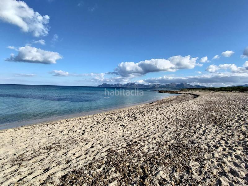 Foto 3195d961-fa7a-4ec0-9850-2ee1ef68531e. Terrain résidentiel dans Can Picafort Santa Margalida