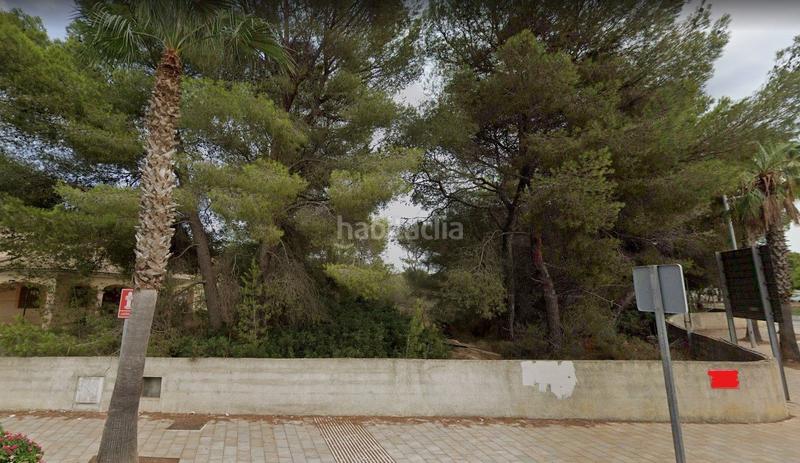 Foto 895becad-4b72-41e7-9ed9-063e7c5c889d. Terrain résidentiel dans Can Picafort Santa Margalida