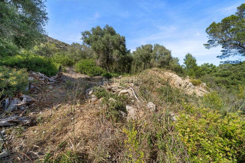 Foto 07ae8cf6-06d9-48bb-a05e-502b8b8a3855. Terreno residenziale in ciutat d´Alcúdia Alcúdia