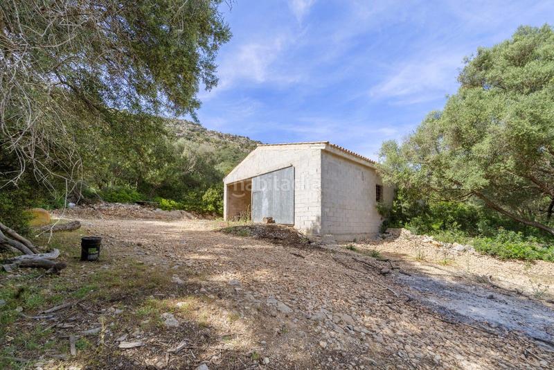Foto 461a2185-67f3-4e5a-be76-e435713a9ba4. Terreno residenziale in ciutat d´Alcúdia Alcúdia