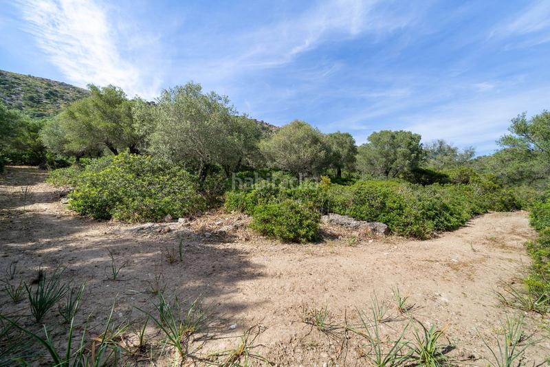 Foto 76f18cbb-42cf-42bb-8ec2-bbebb2460e93. Terreno residenziale in ciutat d´Alcúdia Alcúdia