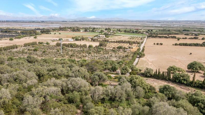 Foto 93dd4885-6ca1-42e0-bb03-6abd4c987966. Terreno residenziale in ciutat d´Alcúdia Alcúdia