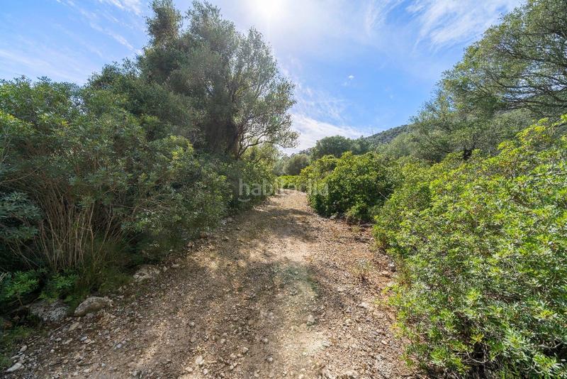 Foto 9d7545de-fa3d-4a8e-b2d6-19e32b7e36a9. Terreno residenziale in ciutat d´Alcúdia Alcúdia
