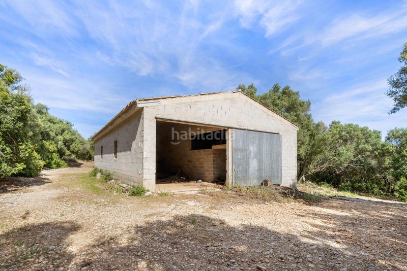 Foto b0ef4888-a522-49ae-a2d8-bdfa012db9c4. Terreno residenziale in ciutat d´Alcúdia Alcúdia