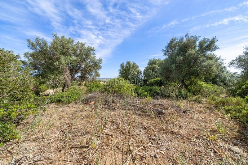 Foto c3e80d96-8eea-448b-8ce6-25f26337005f. Terreno residenziale in ciutat d´Alcúdia Alcúdia
