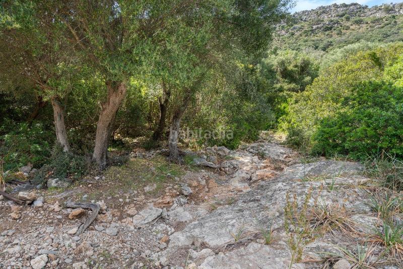 Foto c4480f5c-a46c-4159-9bfd-0f4af758ea66. Terreno residenziale in ciutat d´Alcúdia Alcúdia