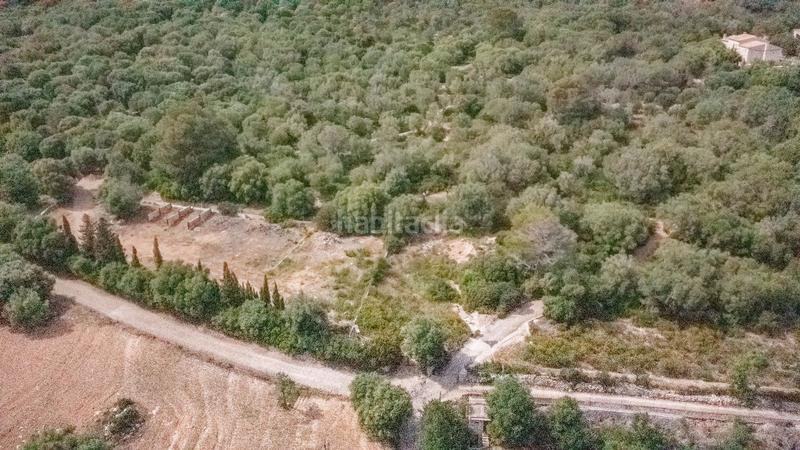 Foto d52f9263-2819-4ae6-8690-628e5abe359b. Terreno residenziale in ciutat d´Alcúdia Alcúdia