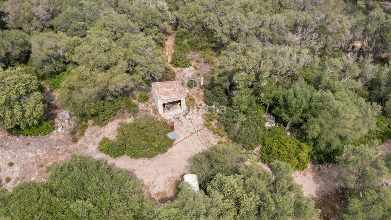 Foto dc63a72d-9dae-41d1-9842-1b63fd607360. Terreno residenziale in ciutat d´Alcúdia Alcúdia