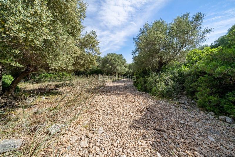 Foto e6cfd9ea-ea8b-48c4-8b31-d8b387e486d9. Terreno residenziale in ciutat d´Alcúdia Alcúdia