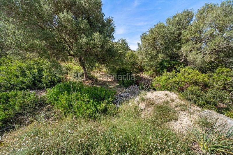 Foto eaee2ab2-f4f3-44f8-bda9-33f24fdc4f53. Terreno residenziale in ciutat d´Alcúdia Alcúdia
