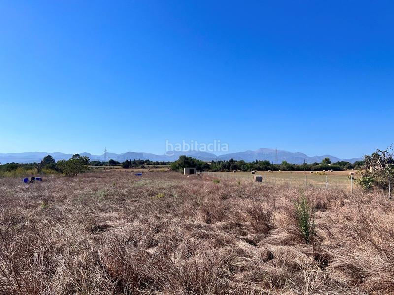 Foto 997ed96f-7df3-4a24-b83e-11b170d2fae0. Mas avec parking dans Son Amonda - Reis Catòlics Inca