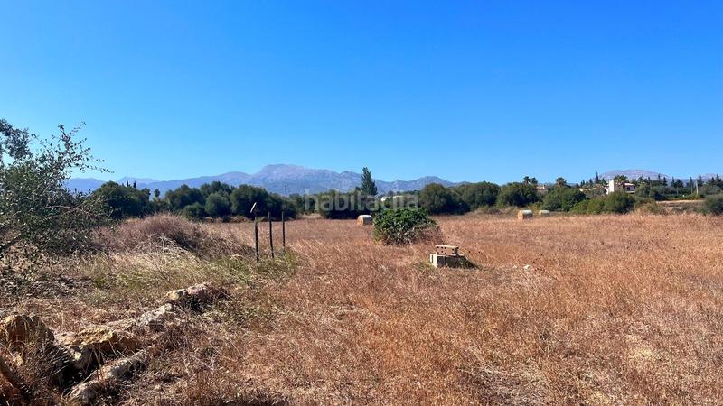 Foto 9f6ff1d7-7579-417b-ac4c-ad8a07255bc7. Mas avec parking dans Son Amonda - Reis Catòlics Inca