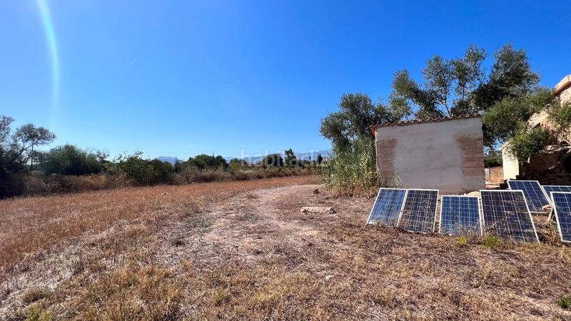 Foto e510212b-5ffd-4753-809a-9b8132cfe28c. Mas avec parking dans Son Amonda - Reis Catòlics Inca