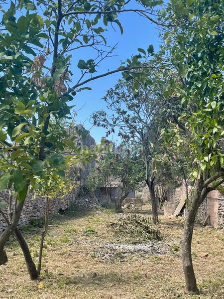 Foto 2a9b6bdb-73cb-4354-a0f6-3d241e1224b5. Terreno residencial solar de 539 m2 edificable en Sencelles