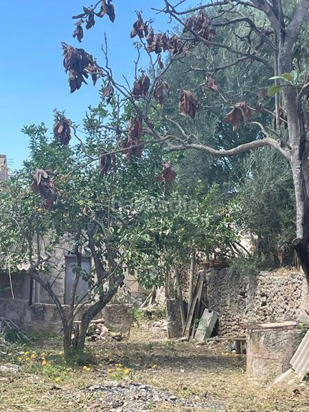 Foto 59a7157d-163e-4868-9830-5111550d629d. Terreno residencial solar de 539 m2 edificable en Sencelles