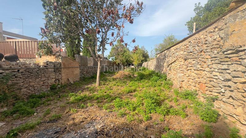 Foto 8af4edc0-8b08-469b-8c63-17a0521271cd. Terreno residencial solar de 539 m2 edificable en Sencelles