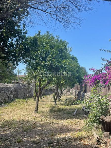 Foto c4dc9d48-d433-4473-9af5-f78e546d606d. Terreno residencial solar de 539 m2 edificable en Sencelles