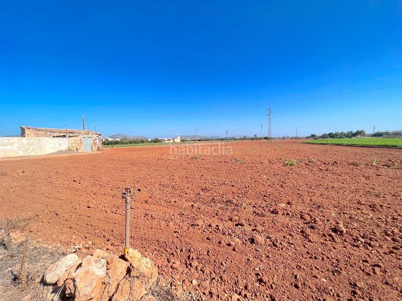 Foto 2c9a3568-52f0-4ebe-9f62-8bdf0195011f. Terreny residencial a Sa Pobla