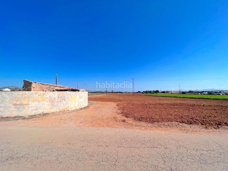 Foto 4400d331-277b-414c-bf00-87cb2ae2c7b2. Terreny residencial a Sa Pobla