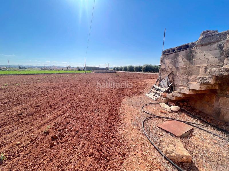 Foto 6bb4babb-c0e4-4ac0-9e9d-9ef6bb861760. Terreny residencial a Sa Pobla
