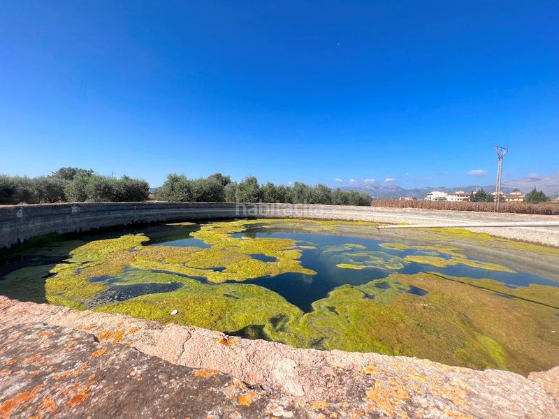 Foto 87e36272-e1ee-4e19-996e-7509f4435c1b. Terreny residencial a Sa Pobla