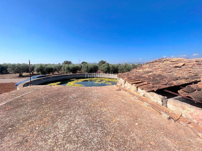 Foto a6247018-5a3d-4cd2-b6f1-ce13f090ef4e. Terreny residencial a Sa Pobla