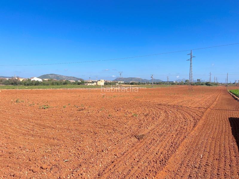 Foto ae5b7f24-e369-4841-a2fd-32023ed23290. Terreny residencial a Sa Pobla